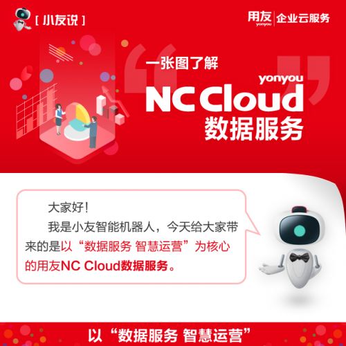 一张图了解NCCloud系列-一张图了解NC Cloud数据服务